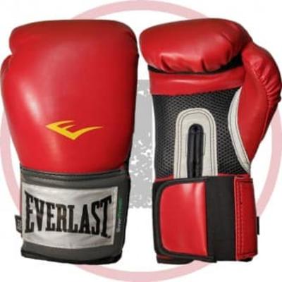 Боксерские перчатки Everlast Pro Style